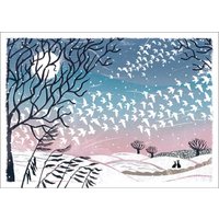 Amnesty International Cards - Birds of a Feather - Pack of 10