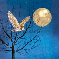 Amnesty International Cards - Fly by Night - Pack of 10