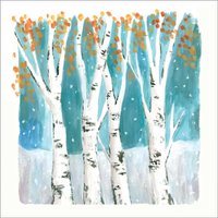 Amnesty International Cards - Silver Birch - Pack of 10