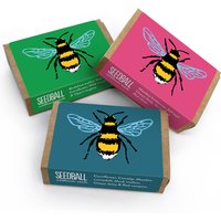 Seedball Bee Boxes - Pack of 3