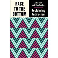 Race to the Bottom: Reclaiming Antiracism Paperback Book