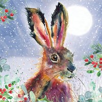 Transform Trade Fluffy Hare Charity Christmas Cards - Pack of 10