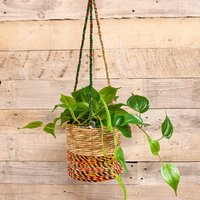 Artisan Round Plant Basket - Medium