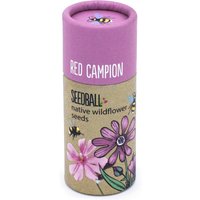 Seedball Tube - Red Campion