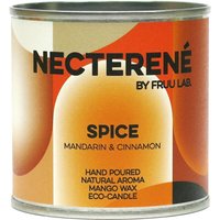 FRUU Spice Candle - 100g