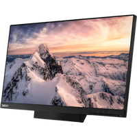 Lenovo A20TIO24 computer monitor