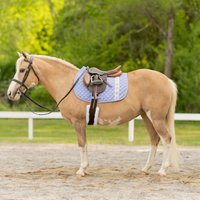 Equinavia Harstad Ribbon Pony Saddle Pad