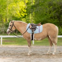 Equinavia Harstad Ribbon Pony Saddle Pad