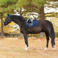 Equinavia Voss Dressage Saddle Pad and Bonnet Set