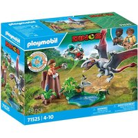 Playmobil, Beobachtungsstation