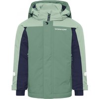 Didriksons Neptun 5, skijas, junior, groen
