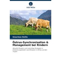 Östrus-Synchronisation & Management bei Rindern