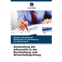 Anwendung der Informatik in der Buchhaltung und Wirtschaftsprüfung