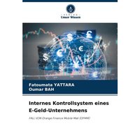 internes-kontrollsystem-eines-e-geld-unternehmens