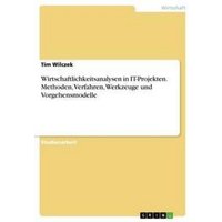 Wirtschaftlichkeitsanalysen in IT-Projekten. Methoden, Verfahren, Werkzeuge und Vorgehensmodelle