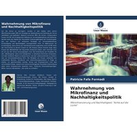 wahrnehmung-von-mikrofinanz-und-nachhaltigkeitspolitik