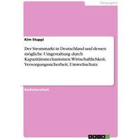 Der Strommarkt in Deutschland und dessen mögliche Umgestaltung durch Kapazitätsmechanismen. Wirtschaftlichkeit, Versorgungssicherheit, Umweltschutz