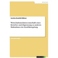 Wirtschaftsmediation innerhalb eines Betriebes und Abgrenzung zu anderen Maßnahmen der Konfliktregelung