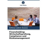 Finanzholding: Wirtschaftsprüfung, Compliance und Risikomanagement