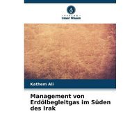 Management von Erdölbegleitgas im Süden des Irak
