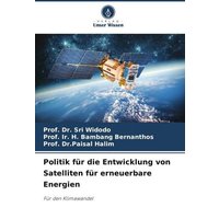 Politik für die Entwicklung von Satelliten für erneuerbare Energien