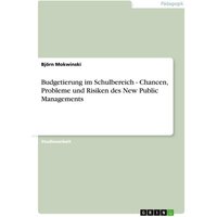 Budgetierung im Schulbereich - Chancen, Probleme und Risiken des New Public Managements
