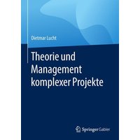 Theorie und Management komplexer Projekte