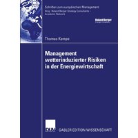 Management wetterinduzierter Risiken in der Energiewirtschaft