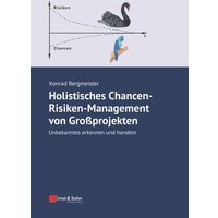 Holistisches Chancen-Risiken-Management von Großprojekten