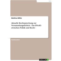 Aktuelle Rechtsprechung zur Versammlungsfreiheit - Das BVerfG zwischen Politik und Recht -