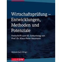 Wirtschaftsprüfung - Entwicklungen, Methoden und Potenziale