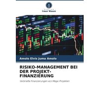 Risiko-Management bei der Projekt-Finanzierung