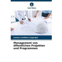 Management von öffentlichen Projekten und Programmen