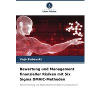 Bewertung und Management finanzieller Risiken mit Six Sigma DMAIC-Methoden