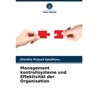Management kontrollsysteme und Effektivität der Organisation