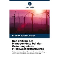 Der Beitrag des Managements bei der Gründung eines Mikrowasserkraftwerks