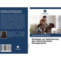Strategie zur Optimierung des interkulturellen Managements