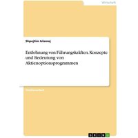 entlohnung-von-fuehrungskraeften-konzepte-und-bedeutung-von-aktienoptionsprogrammen