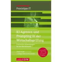 KI-Agenten und Prompting in der Wirtschaftsprüfung, 1. Auflage