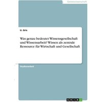 Was genau bedeutet Wissensgesellschaft und Wissensarbeit? Wissen als zentrale Ressource für Wirtschaft und Gesellschaft