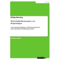 wirtschaftlichkeitsanalyse-von-biogasanlagen