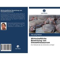 Wirtschaftliche Bewertung von Umweltressourcen