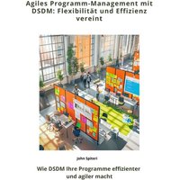 Agiles Programm-Management mit DSDM: Flexibilität und Effizienz vereint