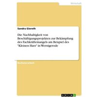 Die Nachhaltigkeit von Beschäftigungsprojekten zur Bekämpfung des Fachkräftemangels am Beispiel des 'Kleinen Harz' in Wernigerode