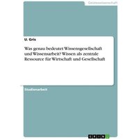 Was genau bedeutet Wissensgesellschaft und Wissensarbeit? Wissen als zentrale Ressource für Wirtschaft und Gesellschaft