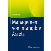 Management von Intangible Assets