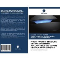 Multi-Posten-Bereiche des Management Accounting: die Summe der Buchungsposten