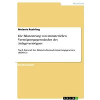 Die Bilanzierung von immateriellen Vermögensgegenständen des Anlagevermögens