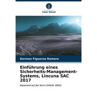 Einführung eines Sicherheits-Management-Systems, Lincuna SAC 2017