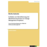 Leitfaden zur Identifizierung der Mitarbeitermotivation in Change Management Projekten